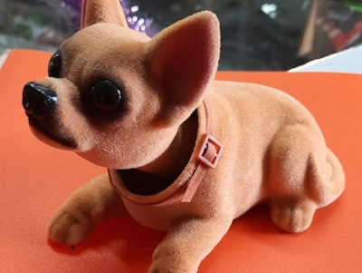 Mexican Bouncing Dog Chihuahua